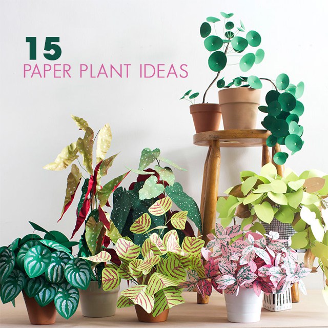 15 DIY Paper Plant Ideas