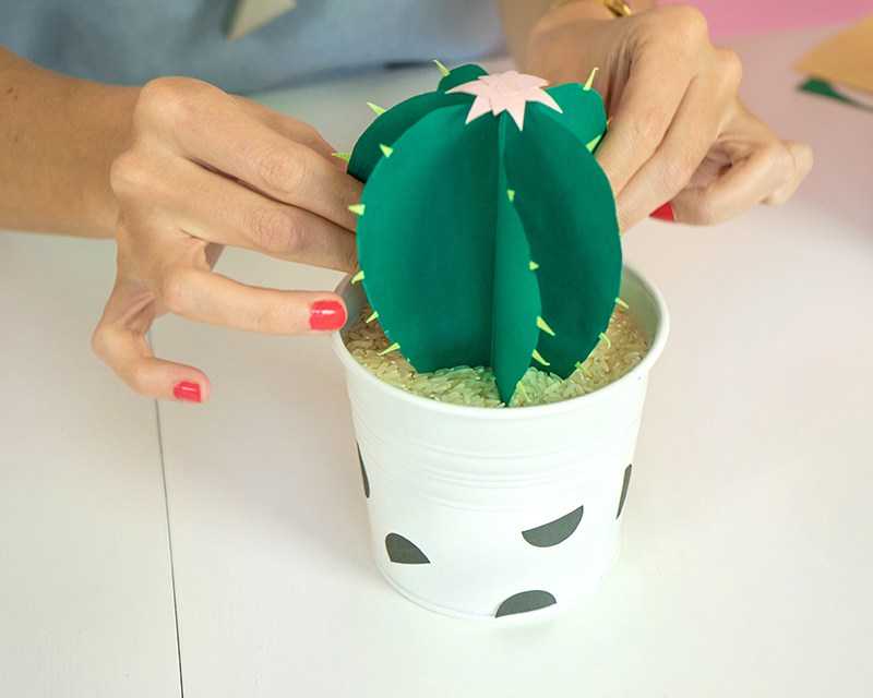 Paper cactus project